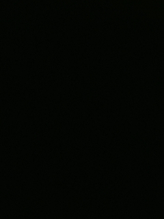 等风也等你