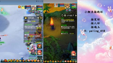 接命魂之玉 人环 宠环