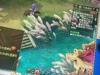 兄弟萌来了