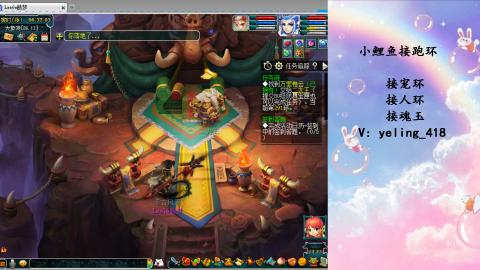 接命魂之玉 人环 宠环
