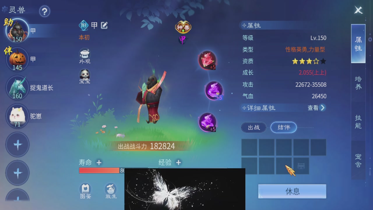 接托管 接团队打架