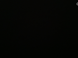 随便波波