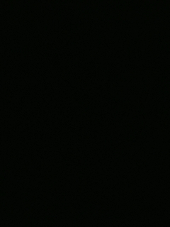 等风也等你
