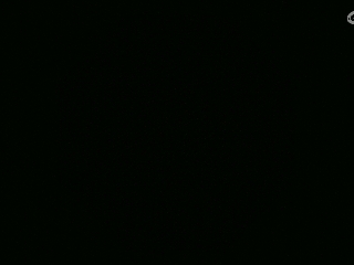 不要留下我一个人孤军奋战..
