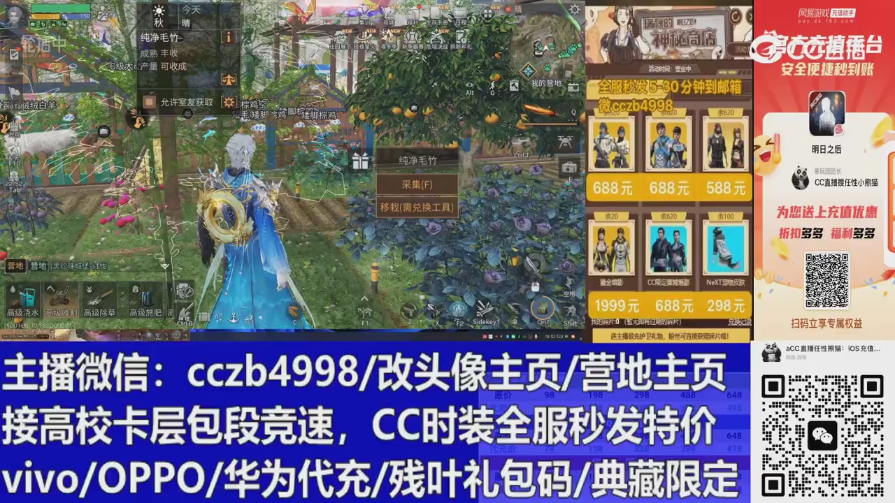 直播回放，购买CC时装请加V