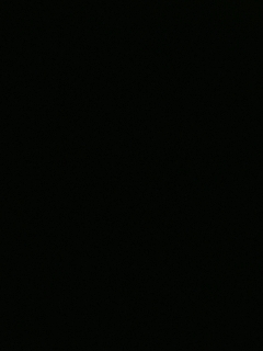 等风也等你