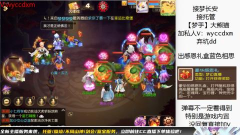 接大海龟活动最后俩天