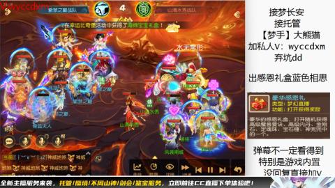 接大海龟活动最后俩天