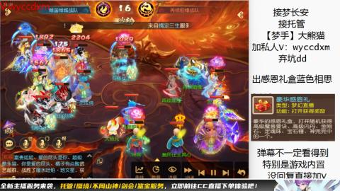 接大海龟活动最后俩天