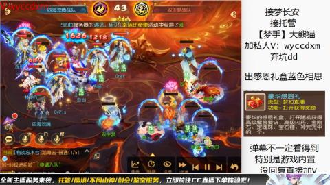 接大海龟活动最后俩天