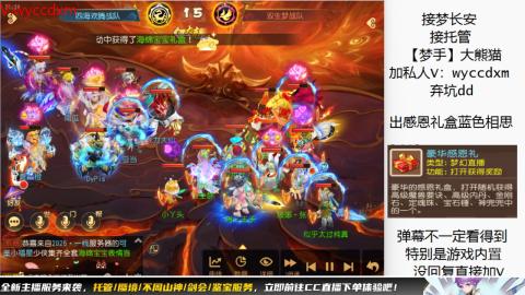 接大海龟活动最后俩天