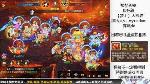 接大海龟活动最后俩天