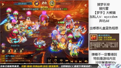 接大海龟活动最后俩天