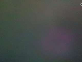 别翻了~就我了~