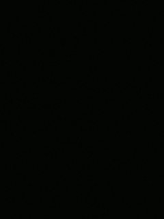 等风也等你