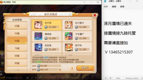 接九转蜃境托管~