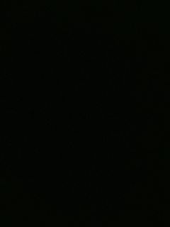 非酷即帅家族的直播间11