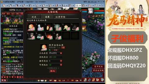 新服<1314>刚开一秒！新手码：DHXSPZ