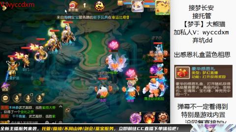 接大海龟活动最后俩天