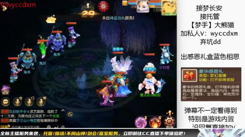 接大海龟活动最后俩天