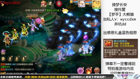 接大海龟活动最后俩天