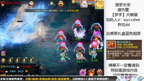 接大海龟活动最后俩天