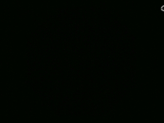 不要留下我一个人孤军奋战..