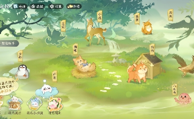 欢迎来看我的直播～