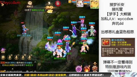接大海龟活动最后俩天