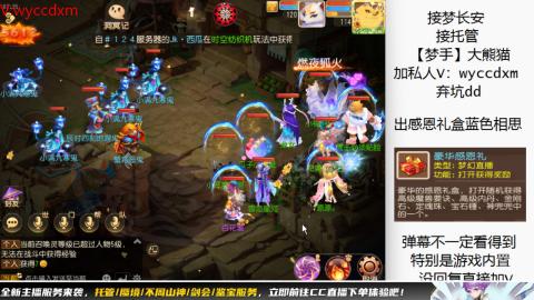接大海龟活动最后俩天