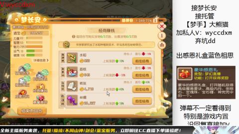 接大海龟活动最后俩天