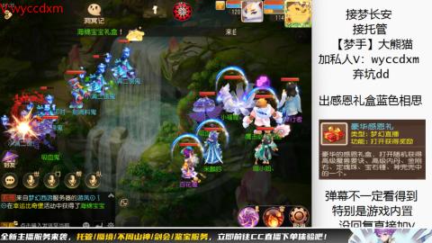 接大海龟活动最后俩天