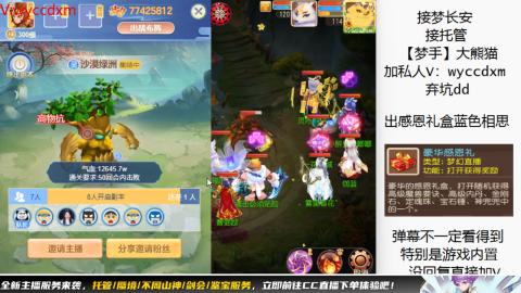 接大海龟活动最后俩天
