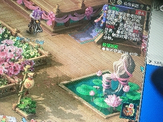 兄弟萌来了