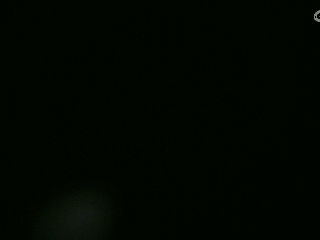 不要留下我一个人孤军奋战..