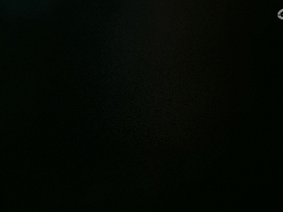不要留下我一个人孤军奋战..