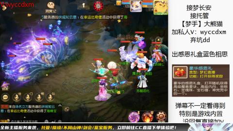 接大海龟活动最后俩天