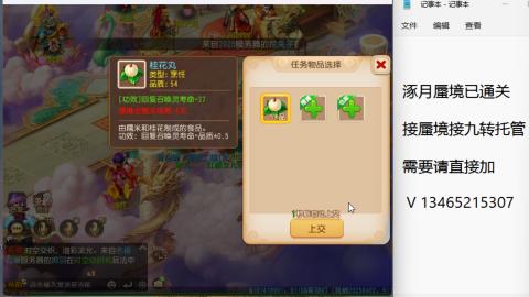 接九转蜃境托管~
