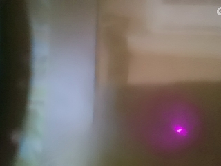 别翻了~就我了~