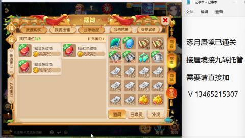 接九转蜃境托管~