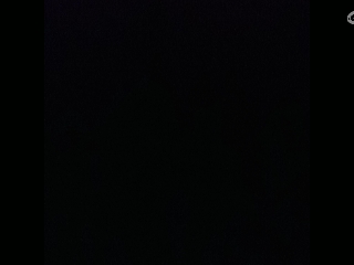 请叫我枪不黑的直播