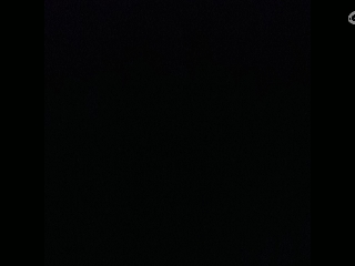 请叫我枪不黑的直播