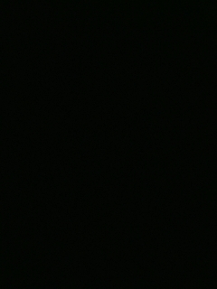 等风也等你