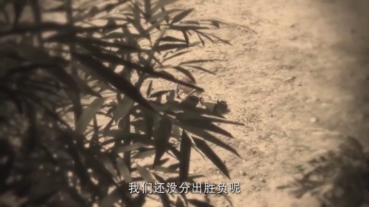 梦幻西游动画片第二季第11集