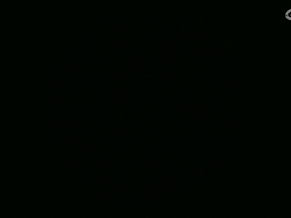 不要留下我一个人孤军奋战..