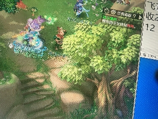 习惯的直播