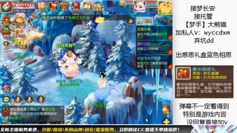 接大海龟活动最后俩天