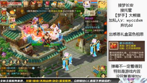 接大海龟活动最后俩天