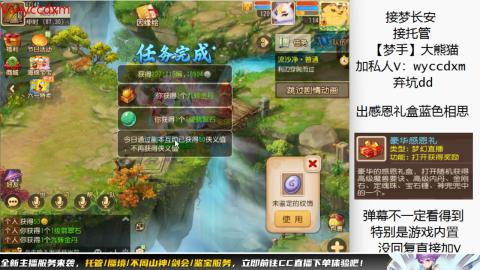 接大海龟活动最后俩天