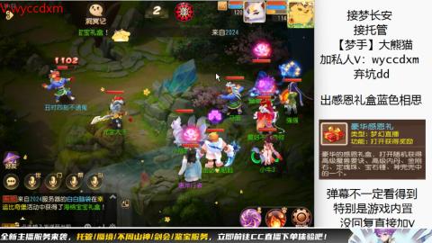 接大海龟活动最后俩天